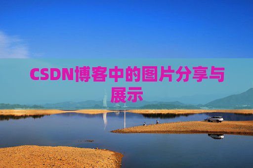 CSDN博客中的图片分享与展示